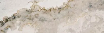 logo-image - water-leaks-subbanner